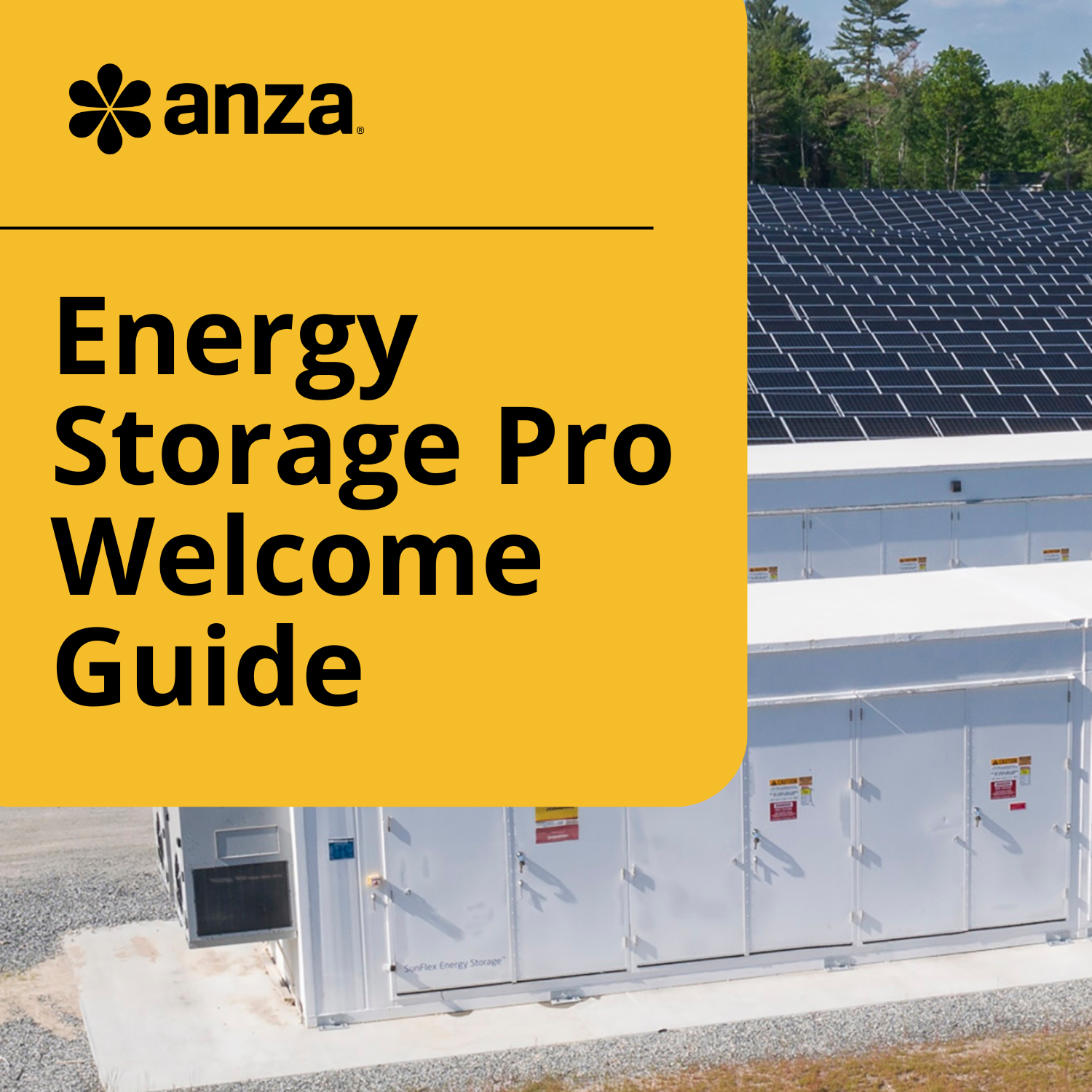 Energy Storage Pro Welcome Guide