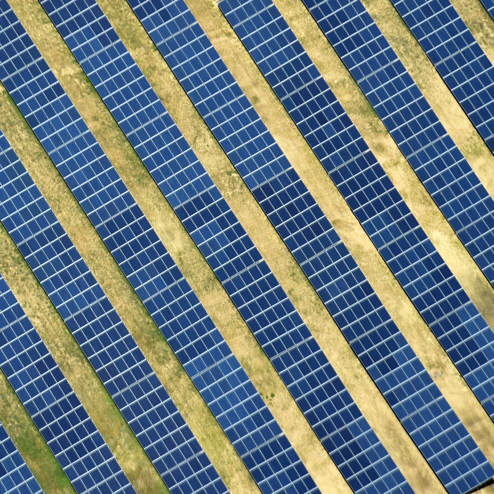 New module AD/CVD case and bifacial import duties reinstated: What lower risk options do I have left?